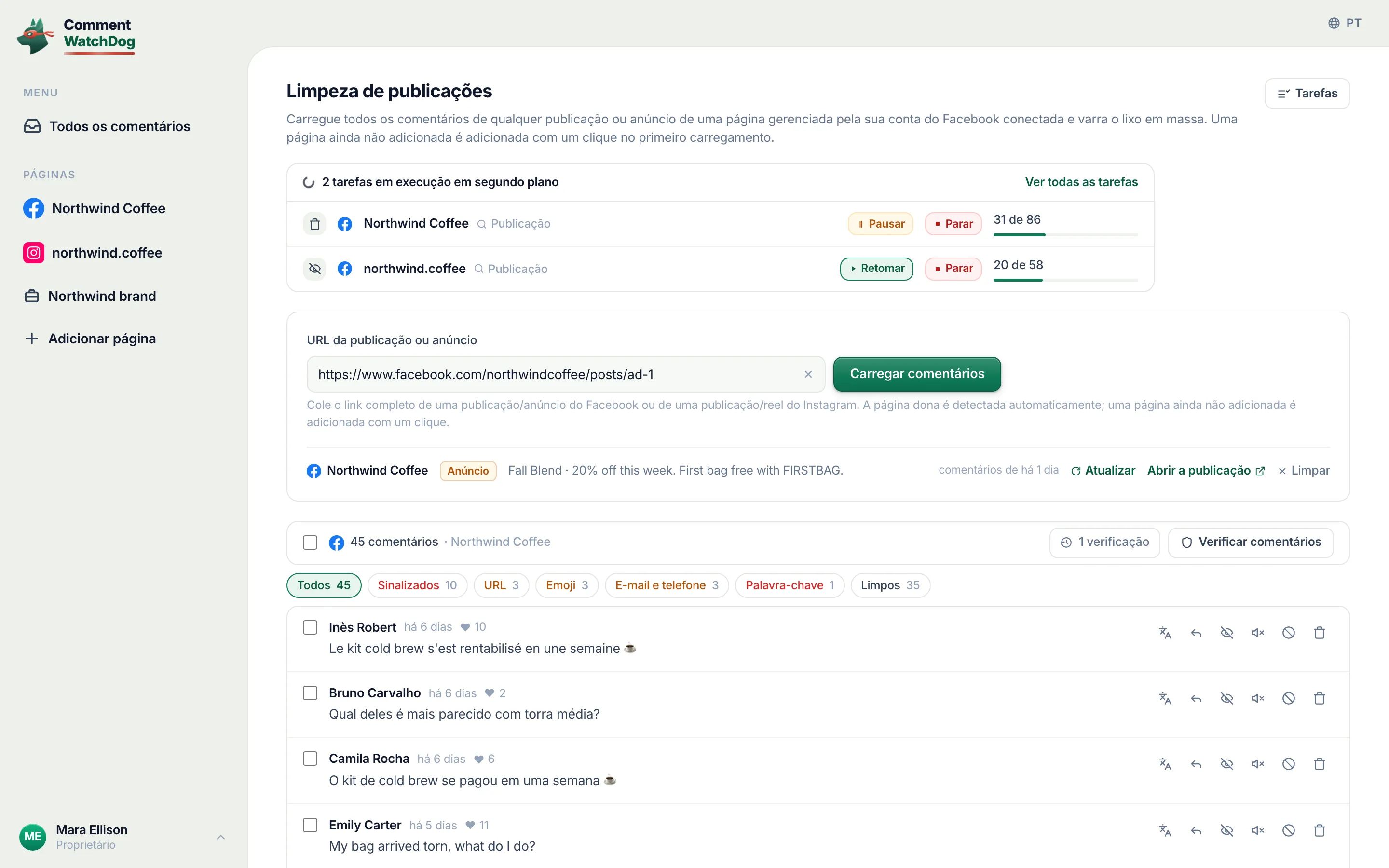 Limpeza de publicações: um link colado, seus 42 comentários carregados, os sinalizados contados por motivo.