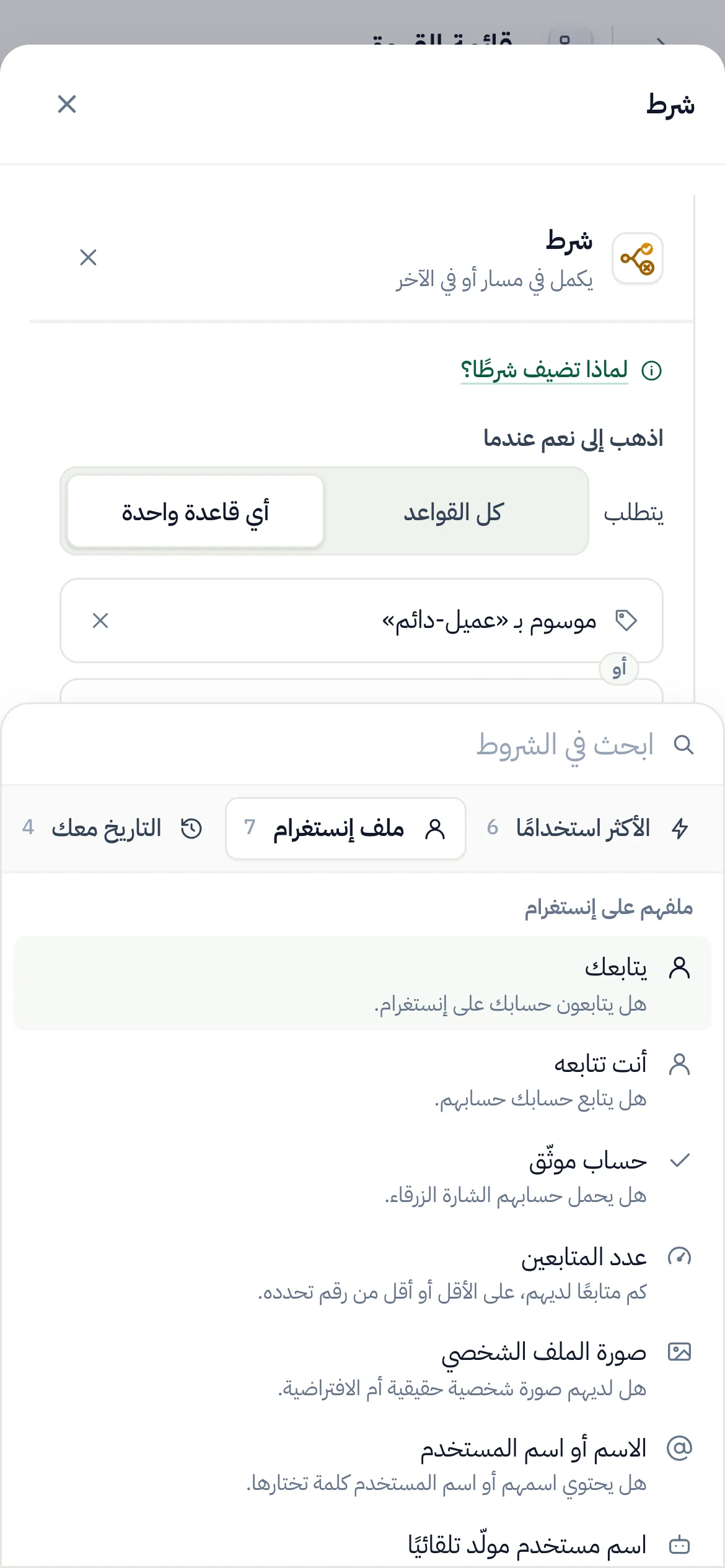 على الهاتف: «ملف إنستغرام» مختار في صف المجموعات، وفحوصه تحته.