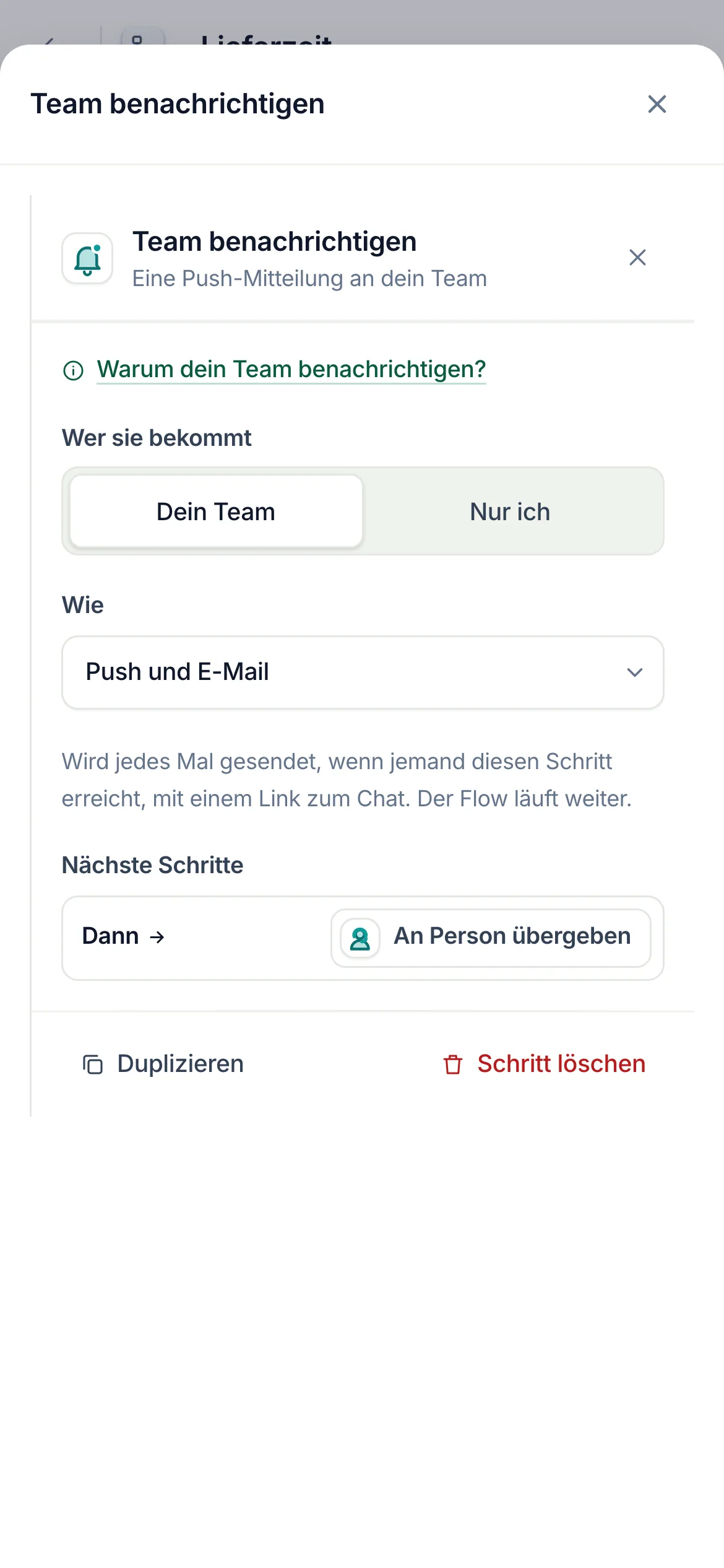 Der Flow-Builder mit ausgewähltem Schritt Team benachrichtigen nach dem Ausgang Fehlgeschlagen einer HTTP-Anfrage: Dein Team, Push und E-Mail, danach An Person übergeben.