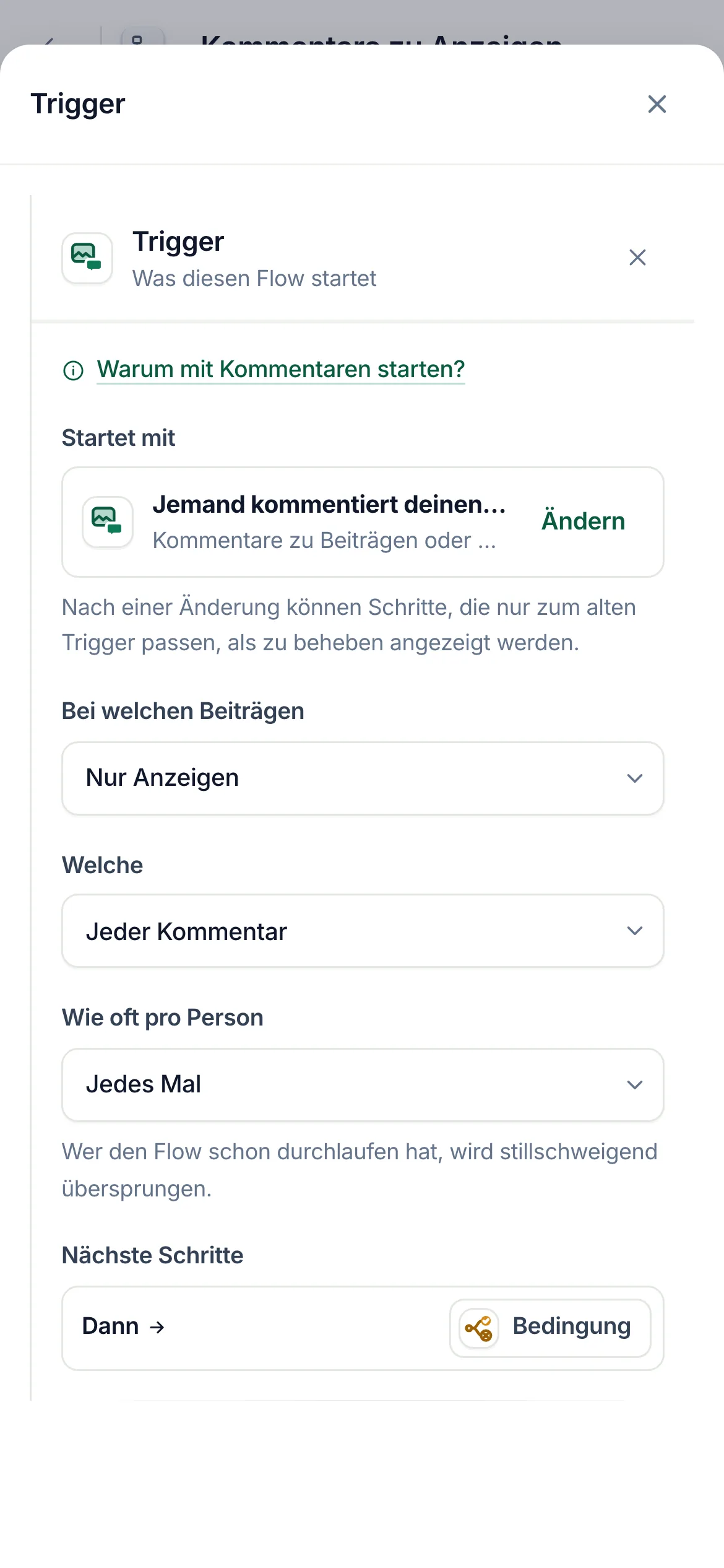 Der Flow-Builder, der Kommentar-Trigger steht auf „Nur Anzeigen“.