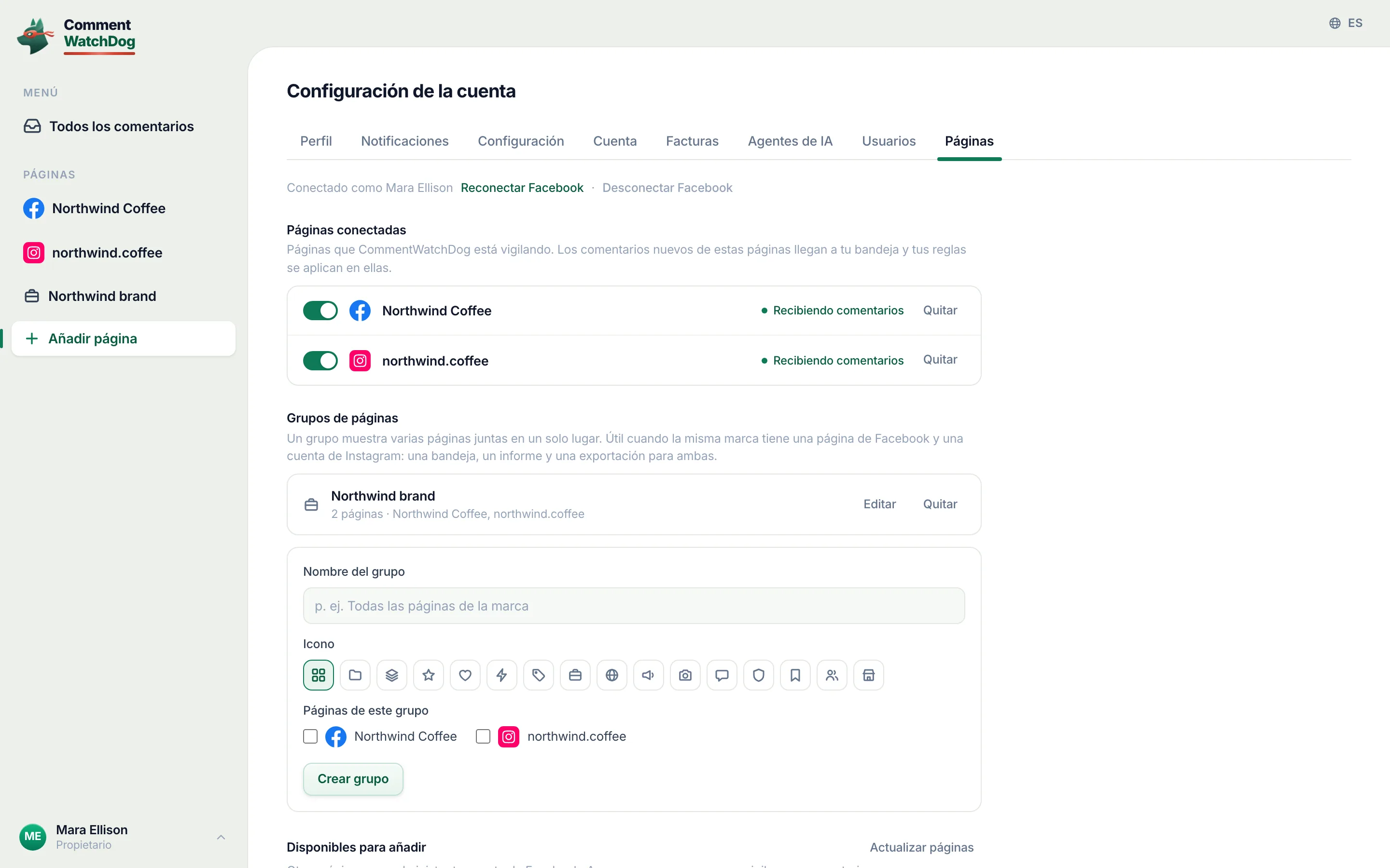 La configuración de páginas con una página de Facebook y una cuenta de Instagram.